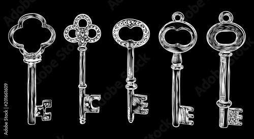 Ornamental medieval vintage keys set with intricate design, Victorian leaf scrolls and hand drawn heart shaped swirls,  composed of flower-de-luce shapes.  Vector.