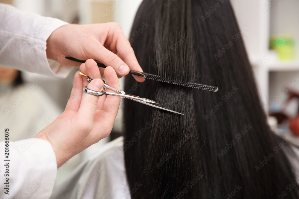 Professional male hairdresser working with client in salon Professional male hairdresser working with client in salon