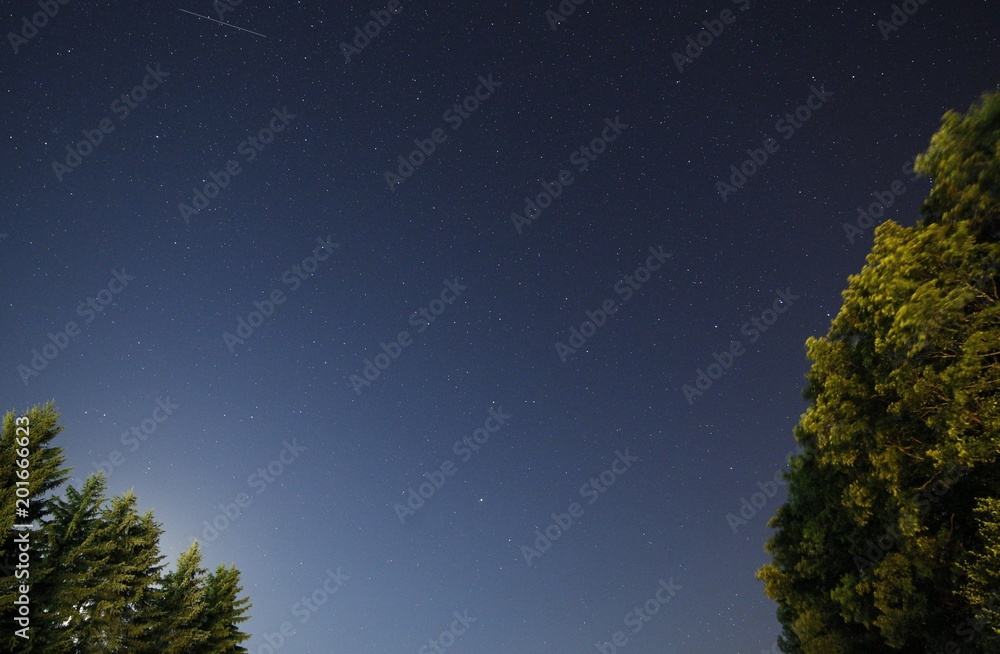 Naklejka premium Night landscape