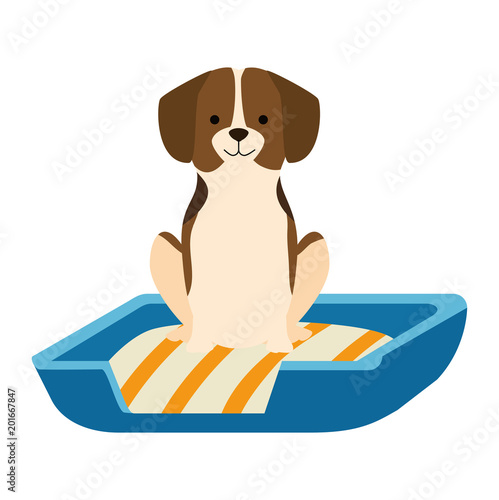 cute dog in the bed character vector illustration design