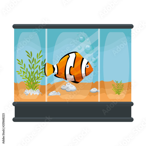 square aquarium with colors fish vector illustration design