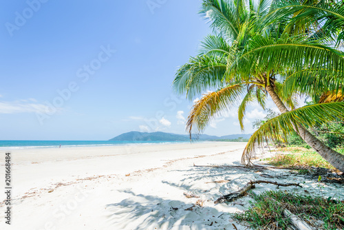 Magical palm trees view on warm summer day at a relaxing beach with white sand and crystal clear water and a rain forest in the background with coconut palms near wild ocean sea, Daintree, Australia