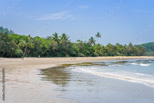 Fototapeta Naklejka Na Ścianę i Meble -  Magical palm trees view on warm summer day at a relaxing beach with white sand and crystal clear water and a rain forest in the background with coconut palms near wild ocean sea, Daintree, Australia