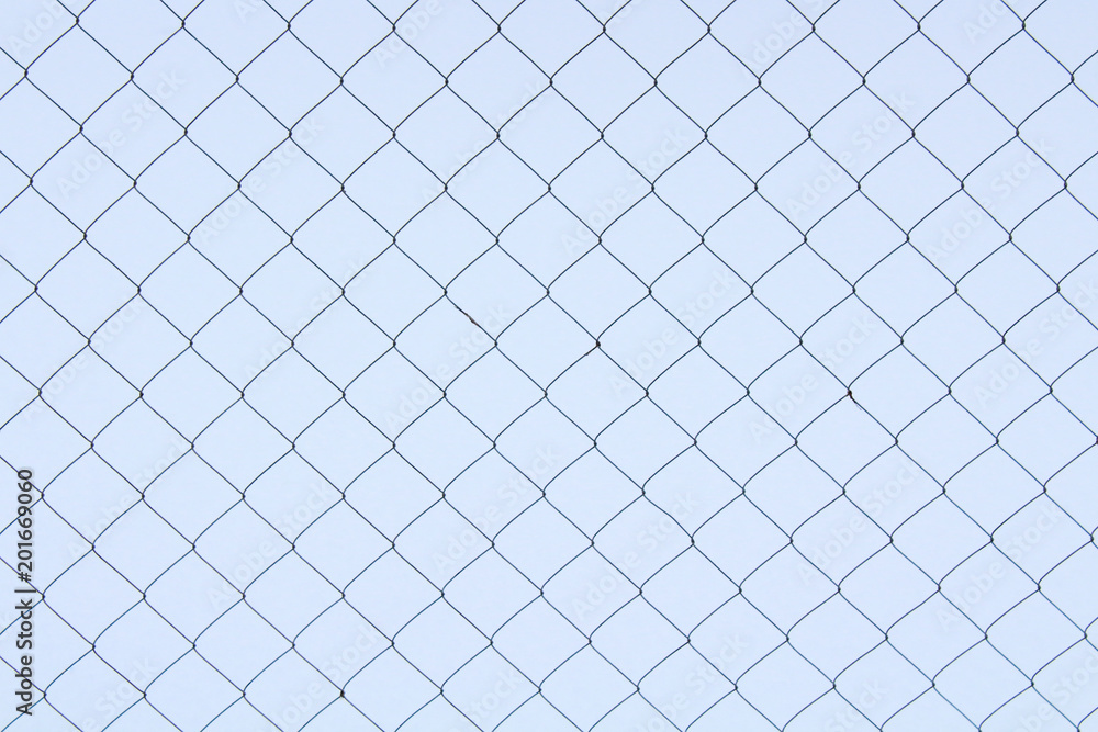 Fototapeta premium Fence from the mesh netting. Background.