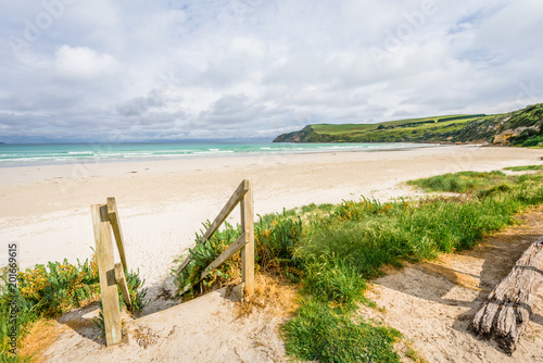 Sunny cloudy summer coast view to the wild wave Bass Strait best surfing and beautiful sandy beach bay with ireland like green hills at Great Ocean Road,Cape Bridgewater, Portland, Victoria/ Australia