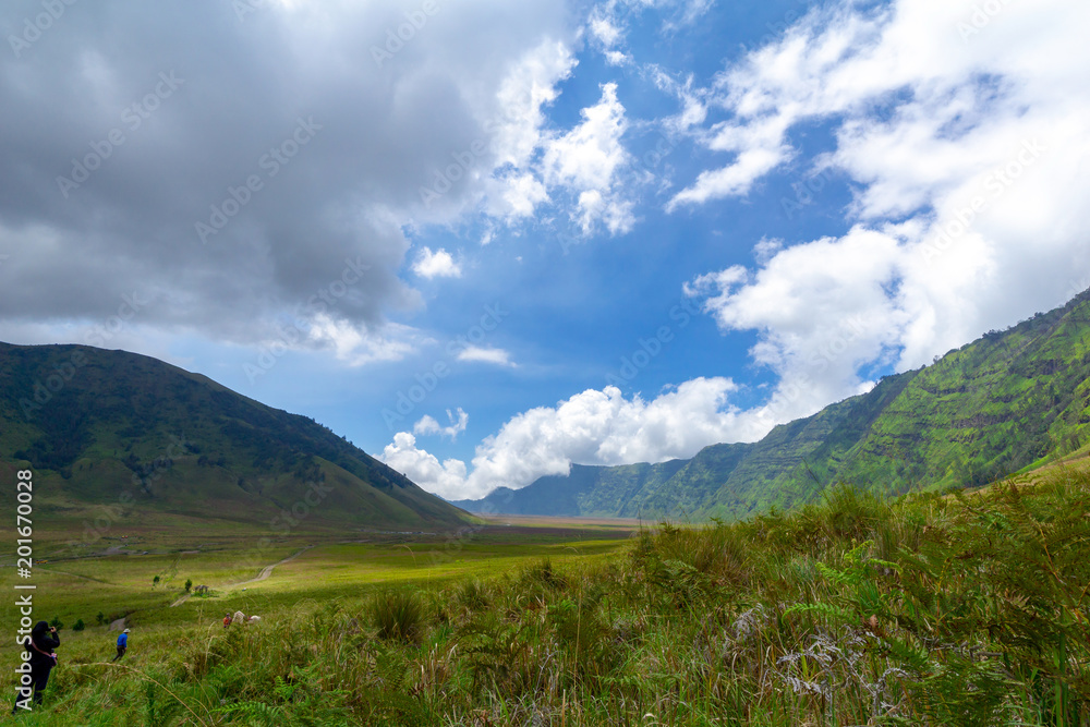 Savannah of Bromo, a green hilly area looks green throughout the year, people used to call it as Teletubbies Hill.