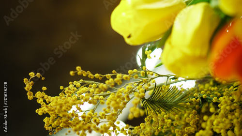 Bouquet of mimosa and red and yellow tulips close-up. Tulips are not in focus. Floral background. Spring mood. photo