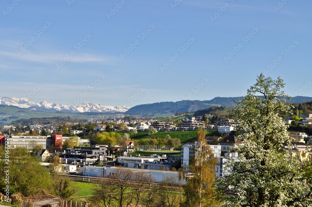 Blick auf die Stadt Au am Zürichsee und der Halbinsel Au bei Wädenswil, im Kanton Zürich - Schweiz
Im Hintergrund die Schneeberge