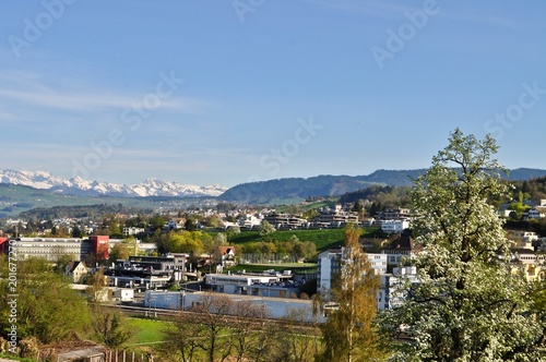 Blick auf die Stadt Au am Zürichsee und der Halbinsel Au bei Wädenswil, im Kanton Zürich - Schweiz  Im Hintergrund die Schneeberge © hachri