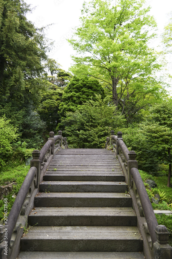 Fototapeta premium 日本庭園
