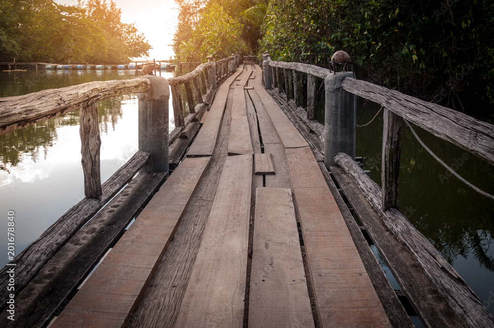 Fototapeta premium Wood walkway path over river and through tropical forest