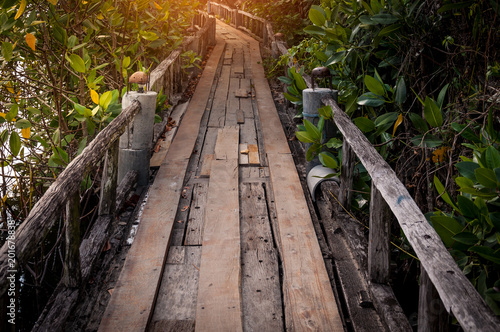 Fototapeta Naklejka Na Ścianę i Meble -  Wood walkway path over river and through tropical forest