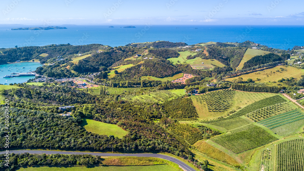 Aerial view on a vineyard on the shore of sunny harbour with residential suburbs on the background. Waiheke Island, Auckland, New Zealand.