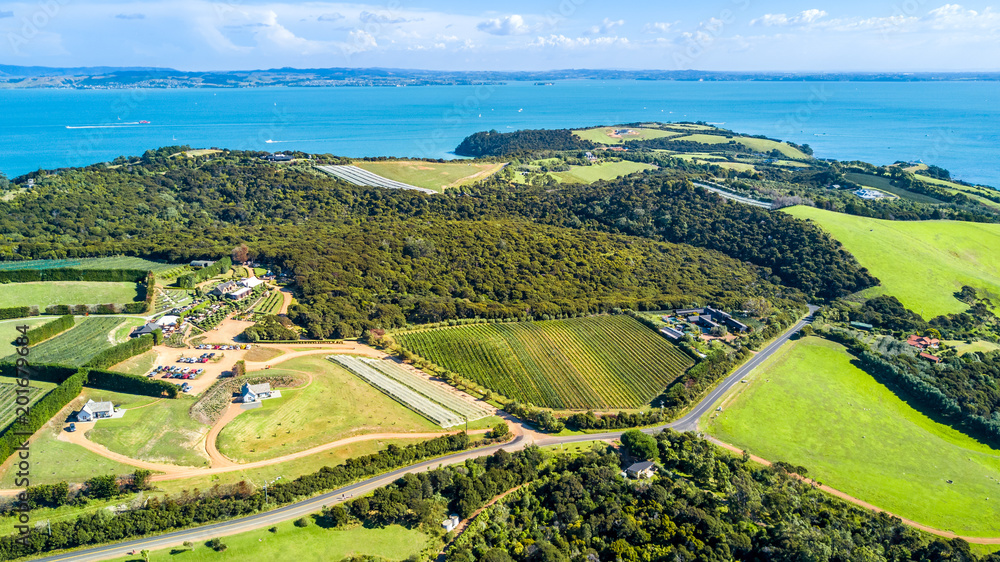 Aerial view on a beautiful hill side with sunny harbour on the background. Waiheke Island, Auckland, New Zealand.