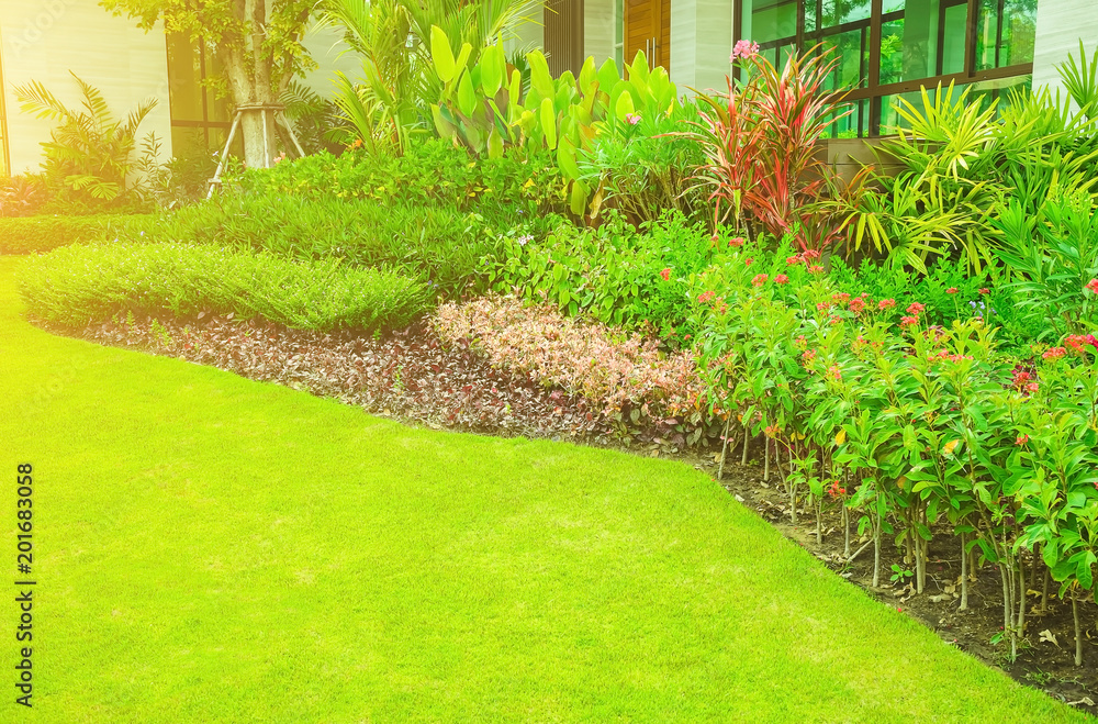 Obraz premium Landscape formal, Front yard is beautifully designed garden, Design background