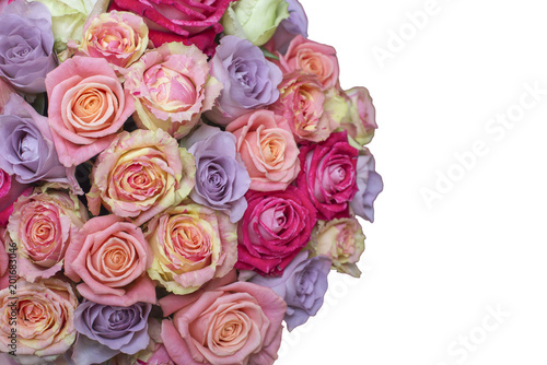Bunch of multi-colored roses over white. Selective focus with sample text