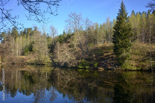 Fototapeta Naklejka Na Ścianę i Meble -  Wadąg