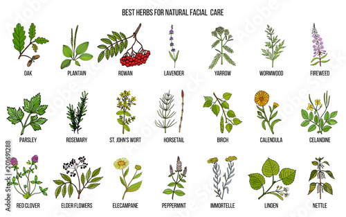 Best medicinal herbs for natural facial care