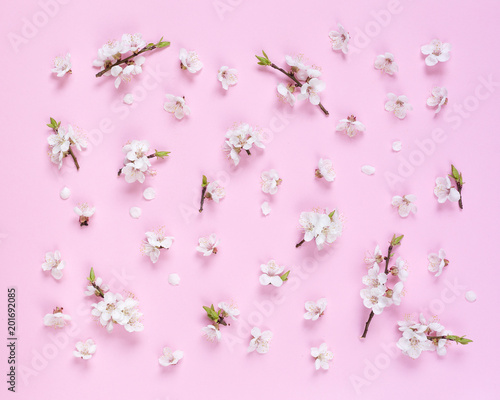 Pattern made of white spring flowers on a pink background. Composition of flowers. Top view, space for copy, square, flat lay. 