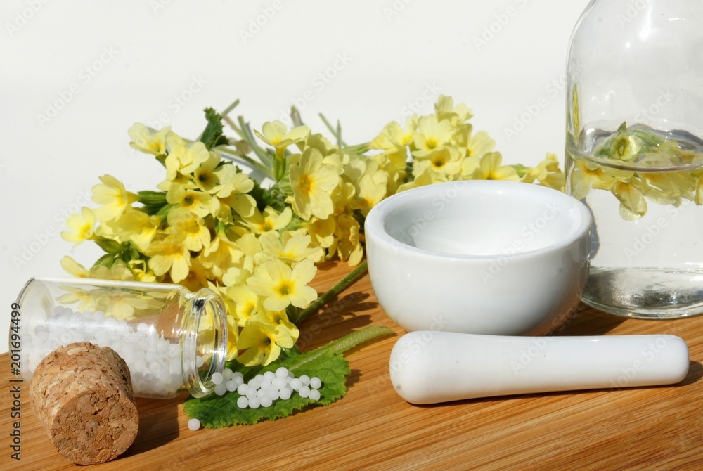 Schlüsselblume, Heilpflanze, Homöopathie Schlüsselblume, Heilpflanze, Homöopathie