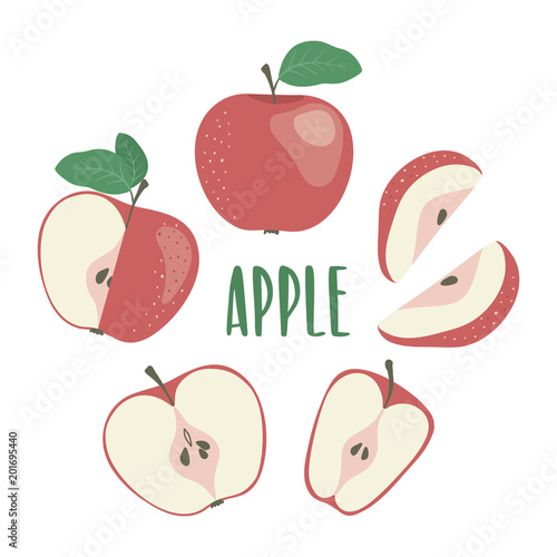 Red apple hand drawn illustration set with lettering, isolated on white background. Whole and sliced apple. Vector illustration for your design.