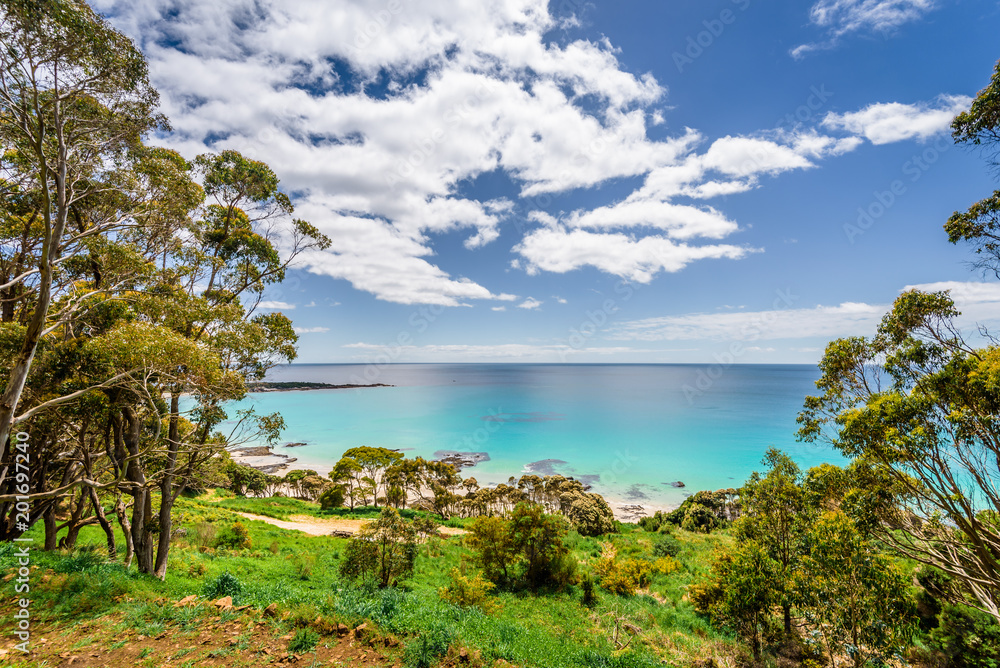 Pretty view to small paradise like town village sandy beach with turquoise blue water and red orange rocks and green shore forest on warm sunny clear sky day, Boat Harbour Beach, Tasmania, Australia