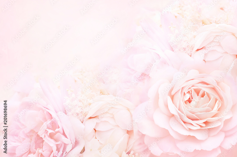 Fototapeta premium Lato kwitnie delikatną róży ramę, kwitnących róż kwiatów świąteczny tło, pastel i miękka kwiecista karta, selekcyjna ostrość, tonująca