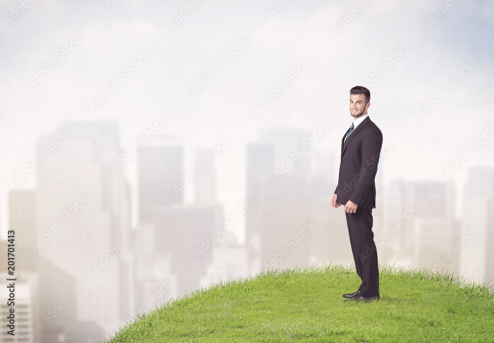 A cheerful caucasian elegant sales manager standing in small green grass in front of faded city landscape, tall buildings concept. A cheerful caucasian elegant sales manager standing in small green grass in front of faded city landscape, tall buildings concept.