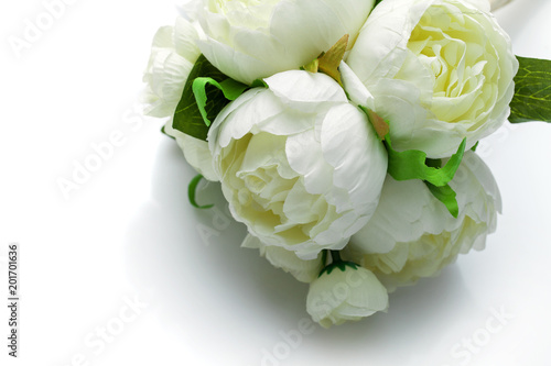 peony flowers isolated on white