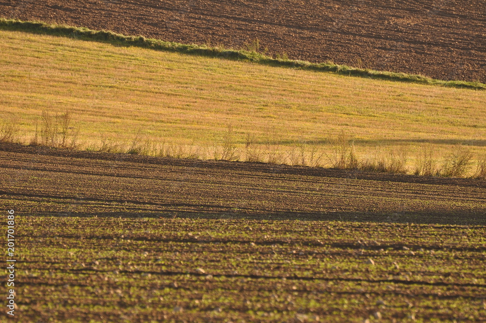 Fototapeta premium Dylewska Góra