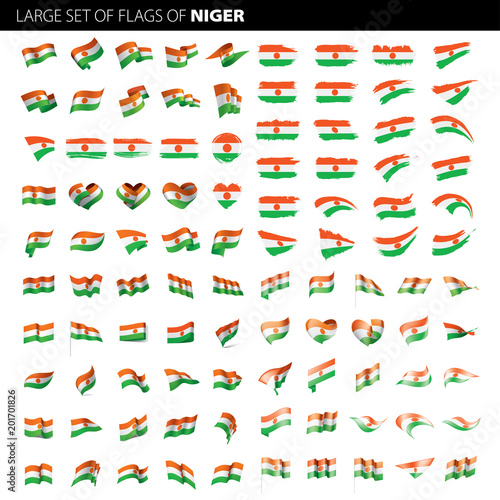 Niger flag  vector illustration