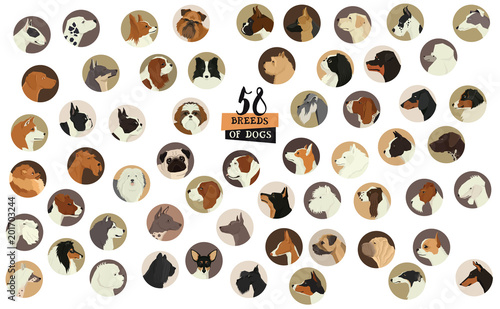 58 Breeds of dogs Isolated objects Round frame