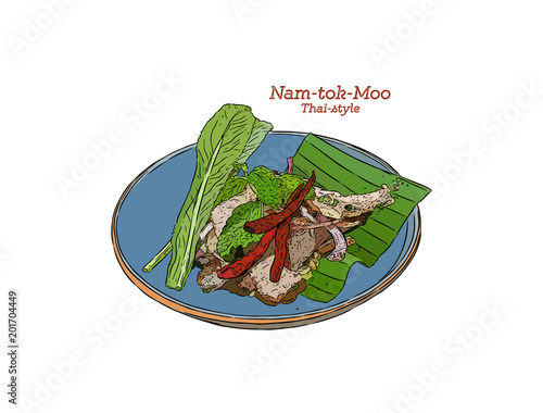 Grilled Pork Spicy Salad Thai style, Nam Tok Moo. Hand draw sketch vector.