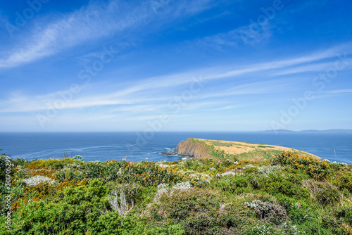 Obraz na płótnie Beautiful view from light house station to stunning rocky cliffs bay and deep blue water of southern ocean on warm sunny day with blue sky after hiking to South Cape, Bruny Island, Tasmania, Australia w salonie