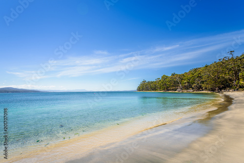 Fototapeta Naklejka Na Ścianę i Meble -  Amazing view to great paradise island sandy beach with turquoise blue water and green shore jungle forest on warm sunny clear sky relaxing day, Fluted Cape Track Bay, Bruny Island, Tasmania, Australia
