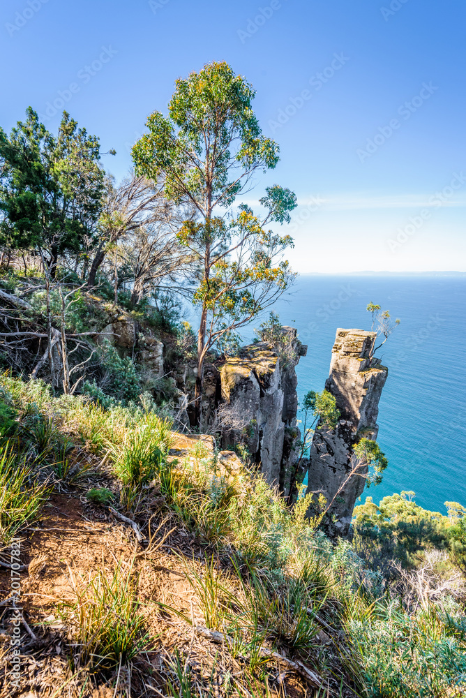 Amazing view to great paradise island cliff bays with turquoise blue water and green shore jungle forest on warm sunny clear day relaxing hiking track to Fluted Cape, Bruny Island, Tasmania, Australia