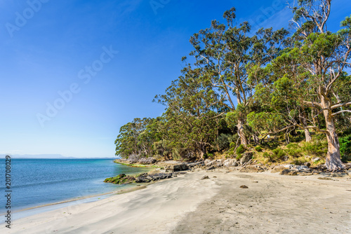 Amazing view to great paradise island sandy beach with turquoise blue water and green shore jungle forest on warm sunny clear sky relaxing day, Fluted Cape Track Bay, Bruny Island, Tasmania, Australia