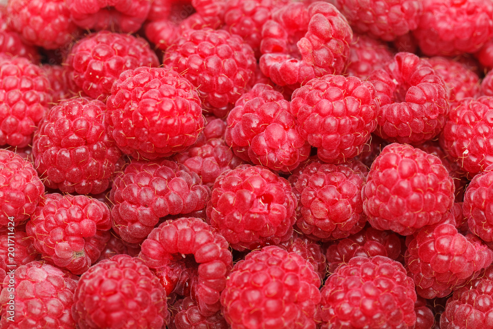 raspberry berries isolated on white raspberry berries isolated on white