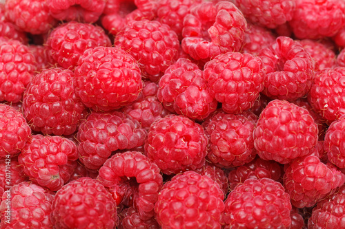 raspberry berries isolated on white