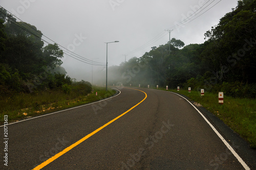 Curved road landscape with green forest and fog. Empty highway in green summer landscape.