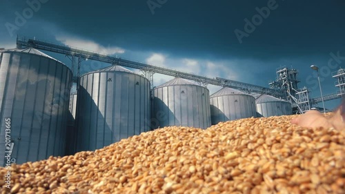 Wheat silo storage 