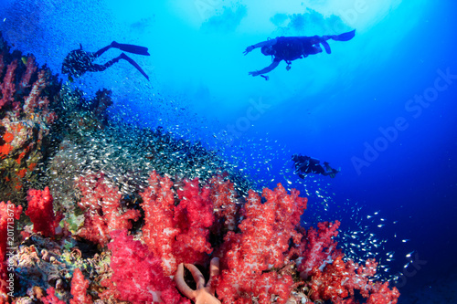 Silhouette of SCUBA divers swimming over a colorful  healthy tropical coral reef
