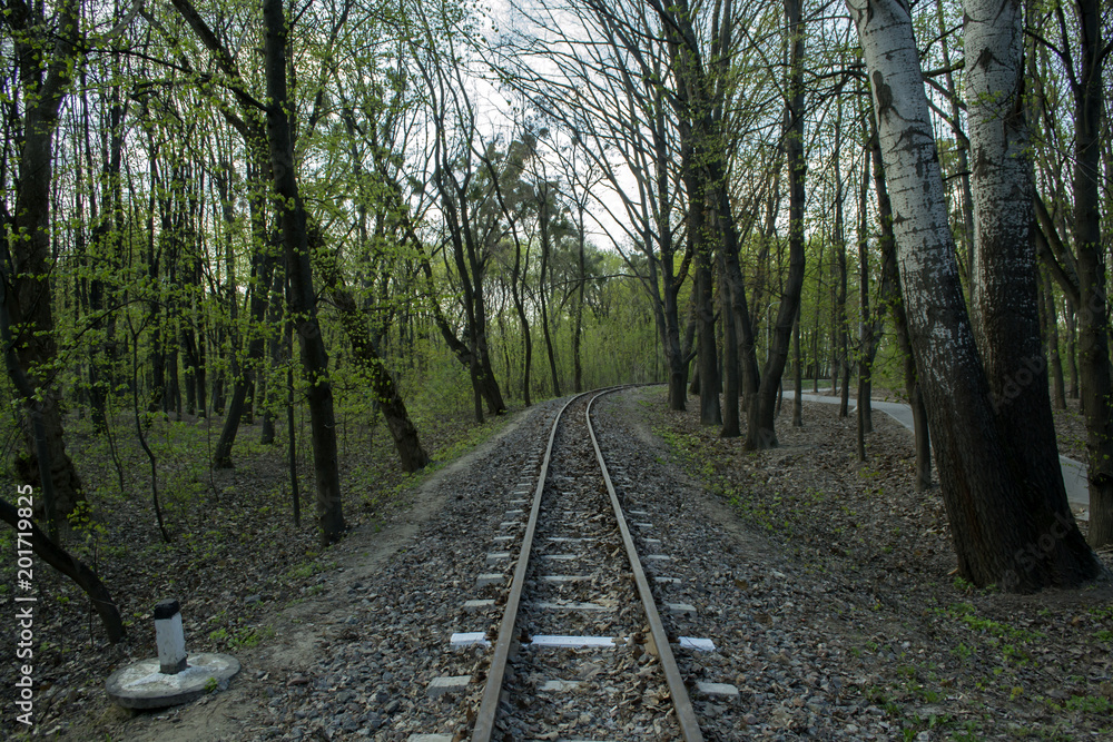 Railway road in a forest. Railway road in a forest.