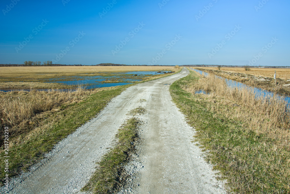 Dirt road and flooded fields