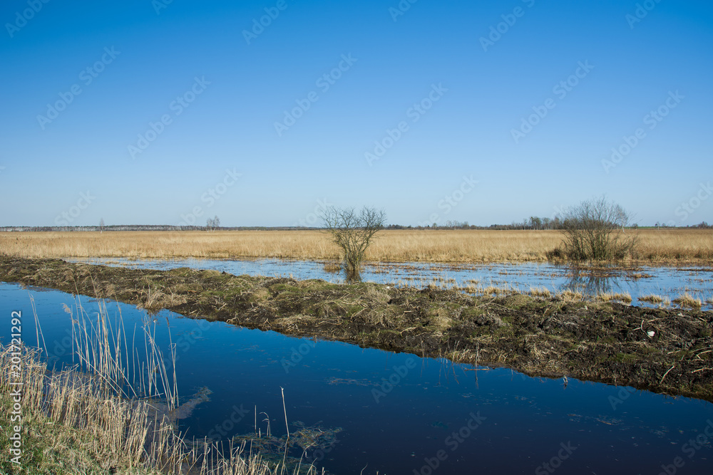 Flooded wild meadow