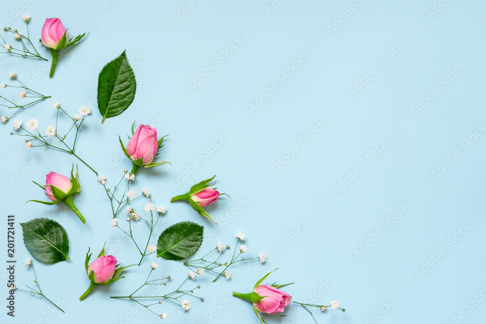 Top view of pink roses and green leaves over blue background. Abstract floral background. Copy space.
