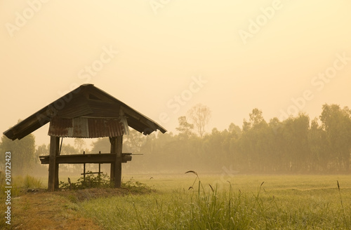 The farmer's cottage at rice field in the morning.