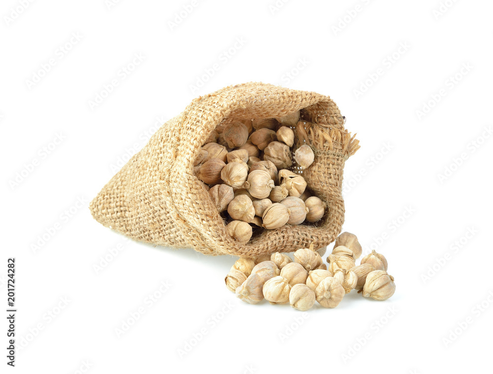 cardamom seed on white background cardamom seed on white background
