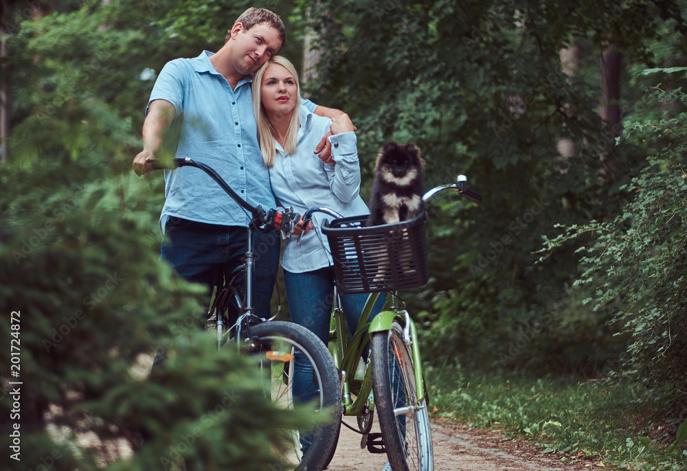 Obraz premium An attractive couple of a blonde female and man dressed in casual clothes on a bicycle ride with their cute little spitz in a bicycle basket.