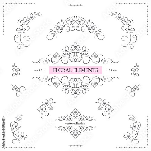 Set of flourish frames, borders, labels. Collection of original floral design elements. Vector calligraphy swirls, swashes, ornate motifs and corners.